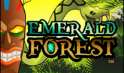 Emerald Forest apres avoir aligné les 3 symbole Wild , tomber sur le mystery ou vous devrez trouver son double Même principe que Ninja Quest et Valko , jeu Dice games des casino en ligne belge