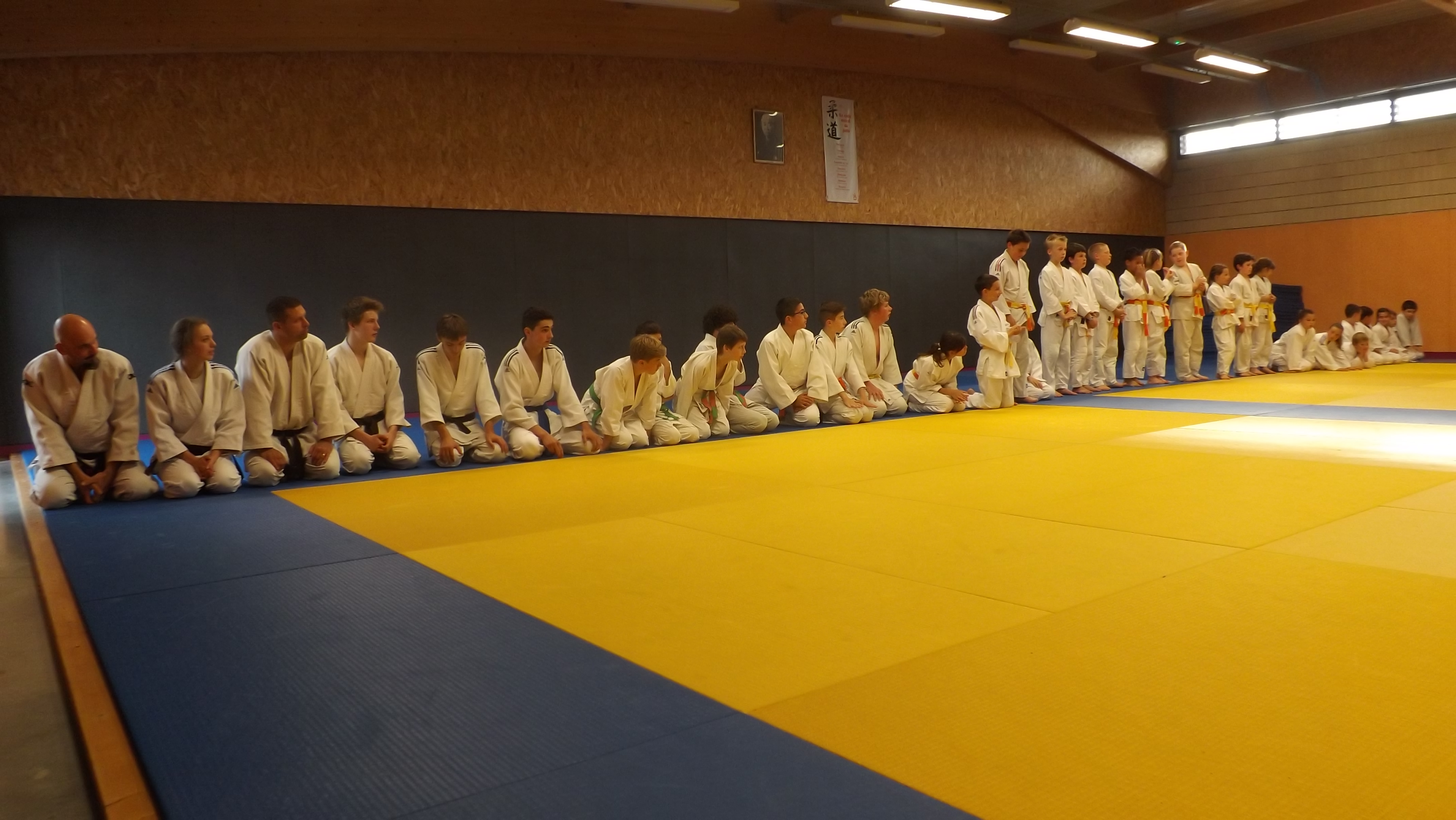 Judo 2