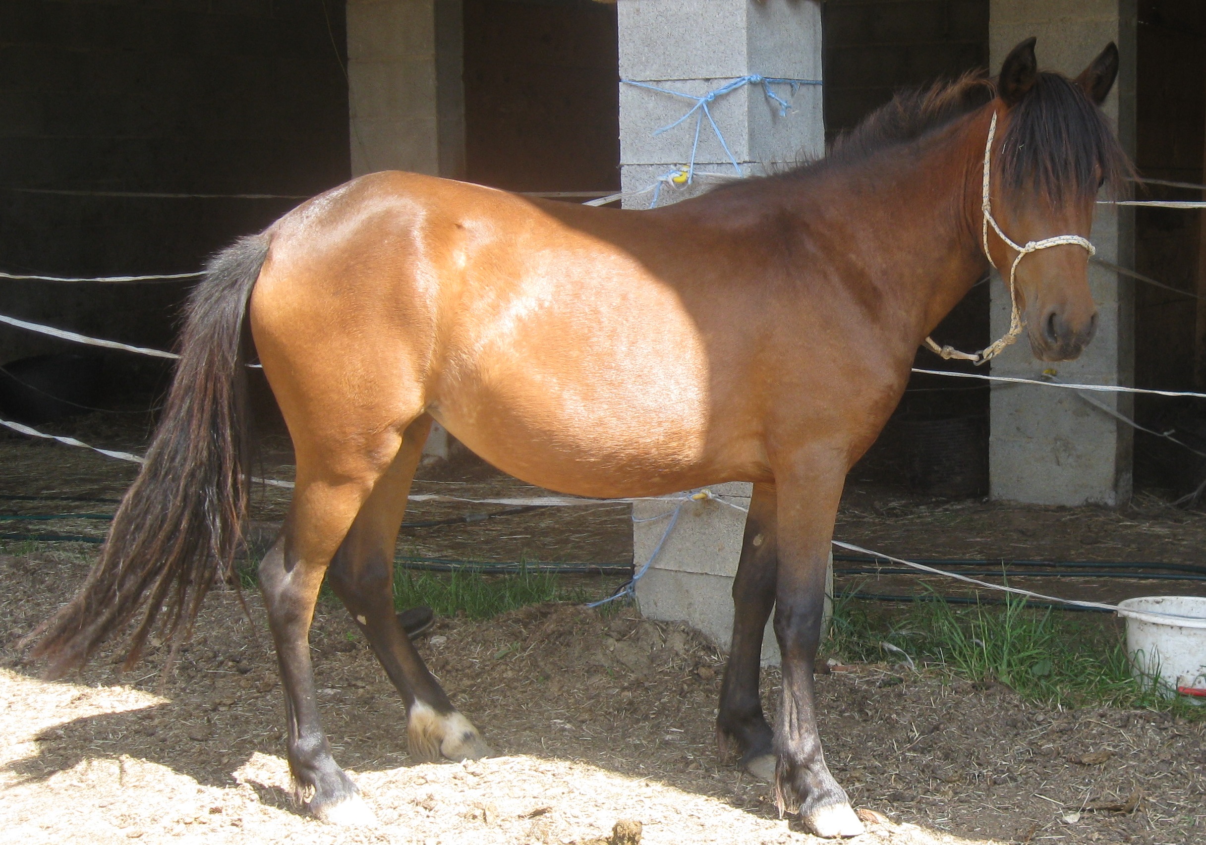 Chistera 3 ans IMG 3816