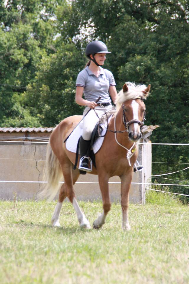 11061306 955264024526285 8515946302058924403 n