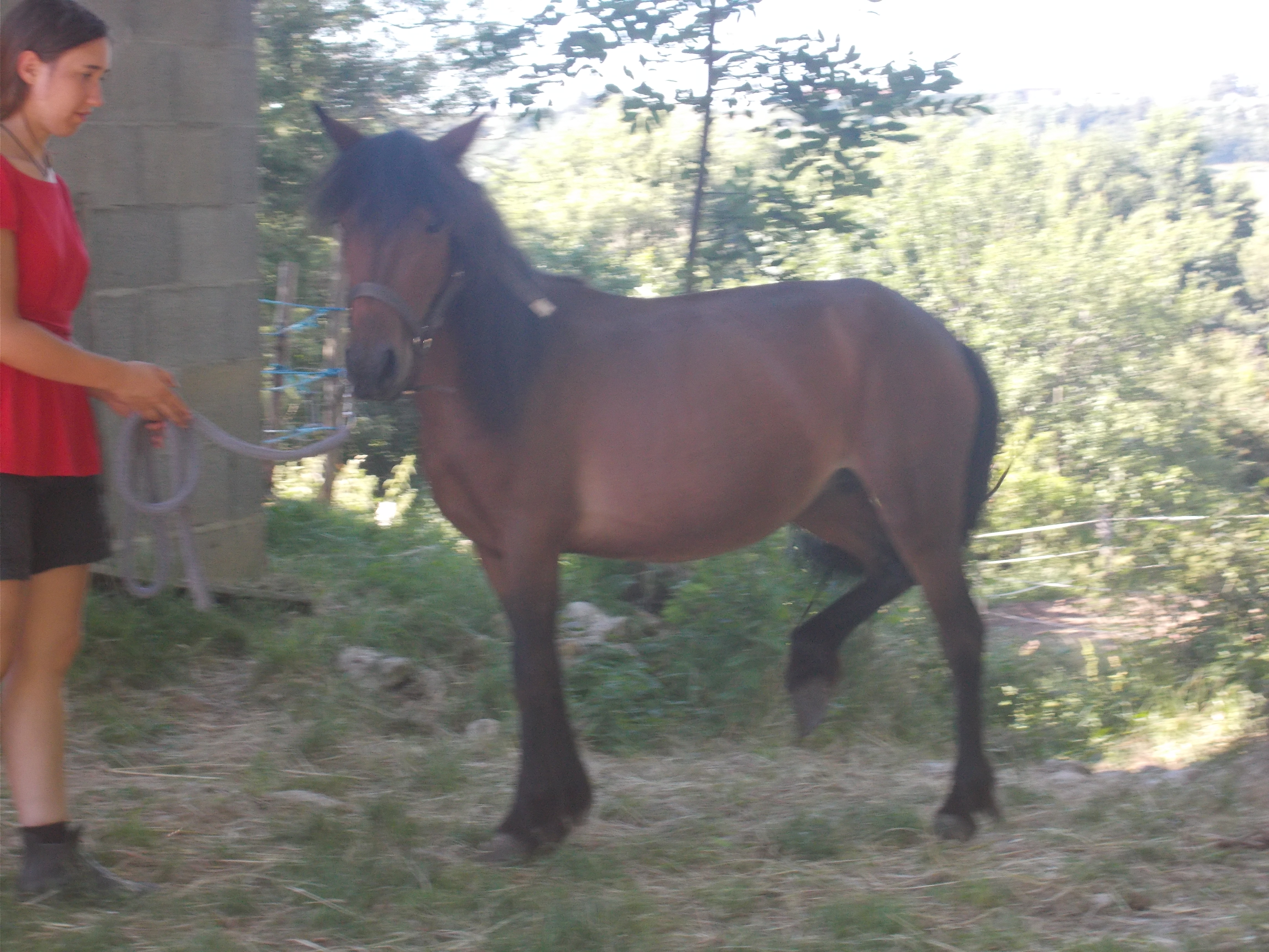DSCN0359