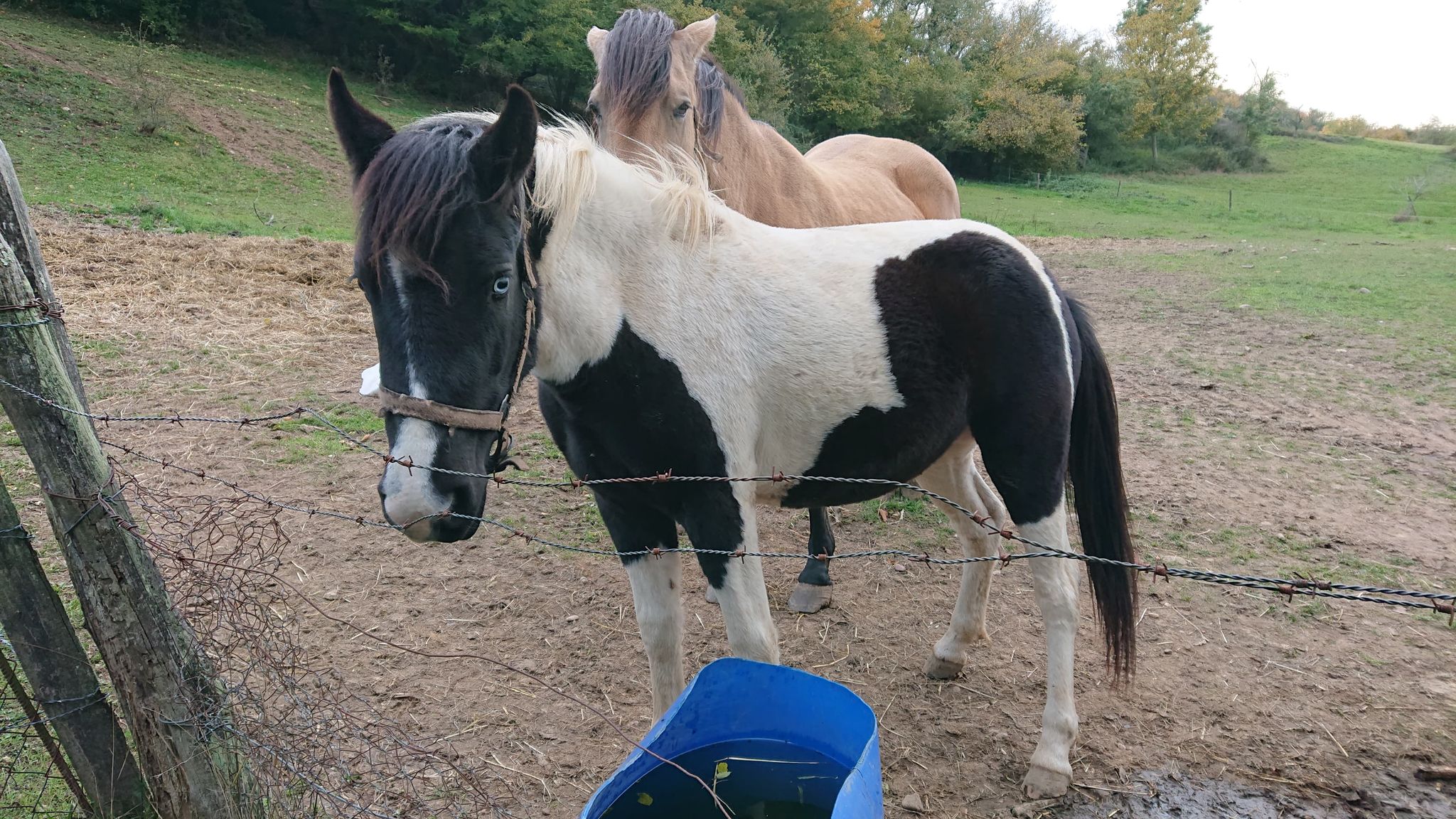 122115384 711064936185150 684630227817775626 n