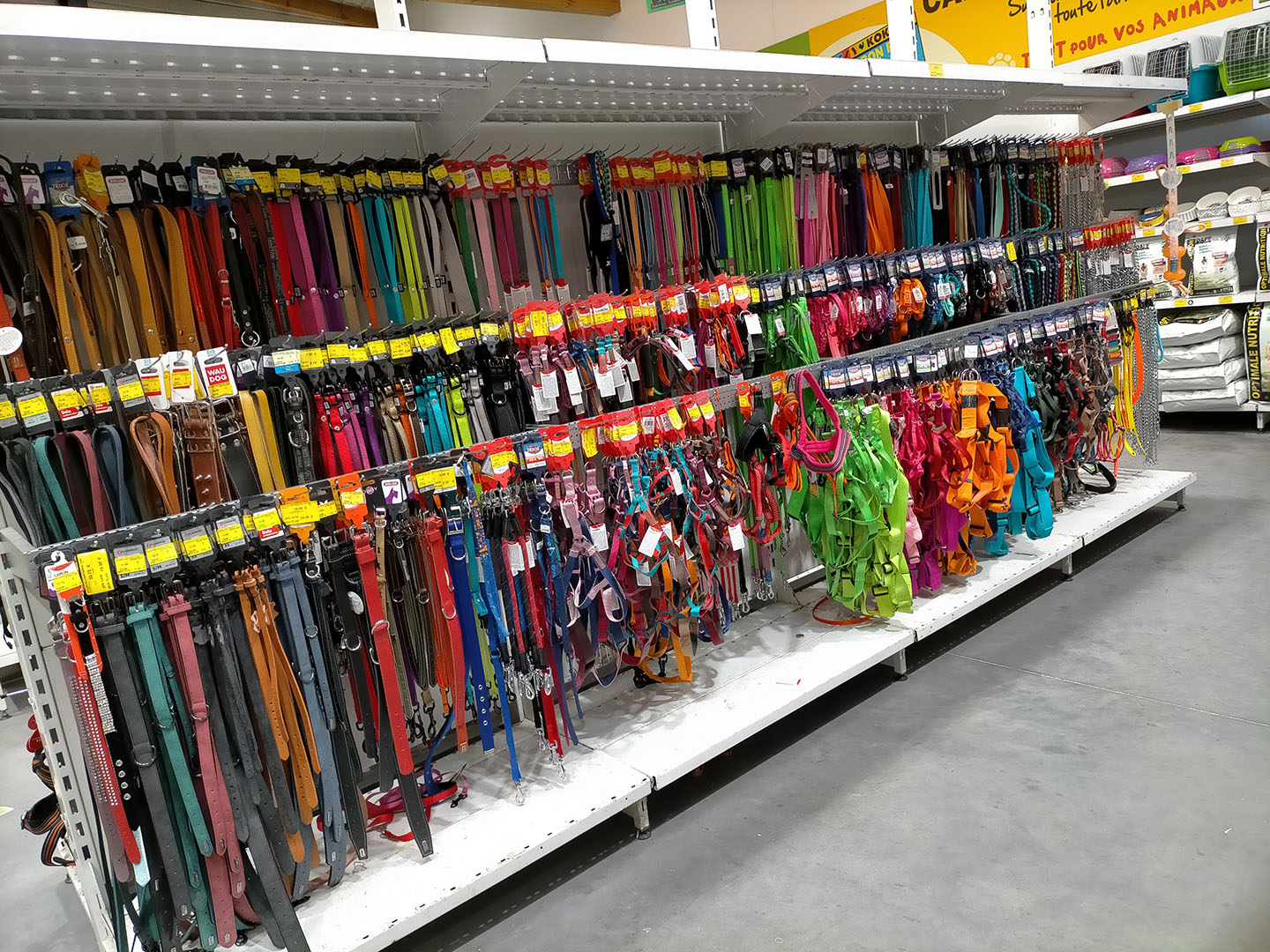 Img20211216115231resize