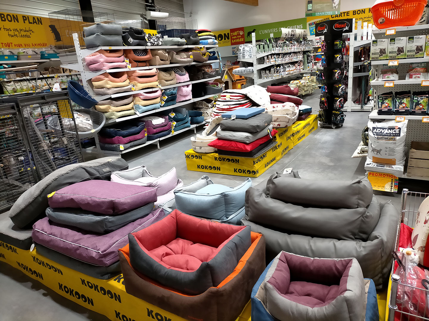 Img20211216115340resize
