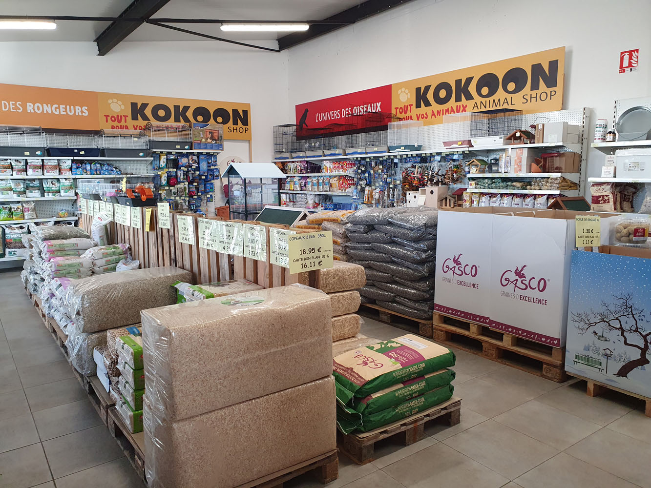 Kokoon la teste 13 