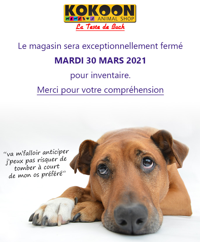 La Teste : inventaire à venir
