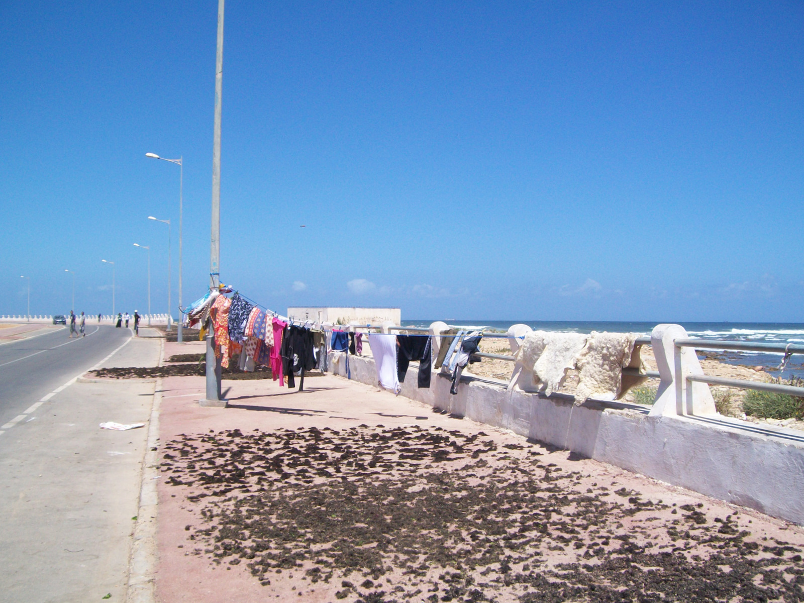 10 des algues y sont collectees