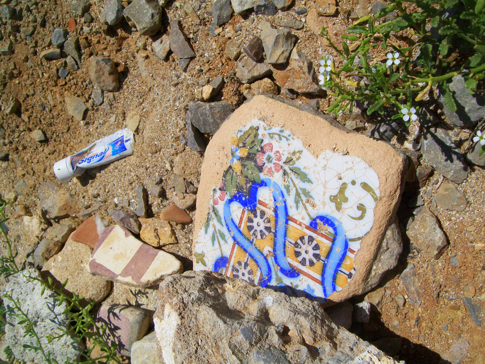 11 dans les gravats des bouts de mosaique ancienne