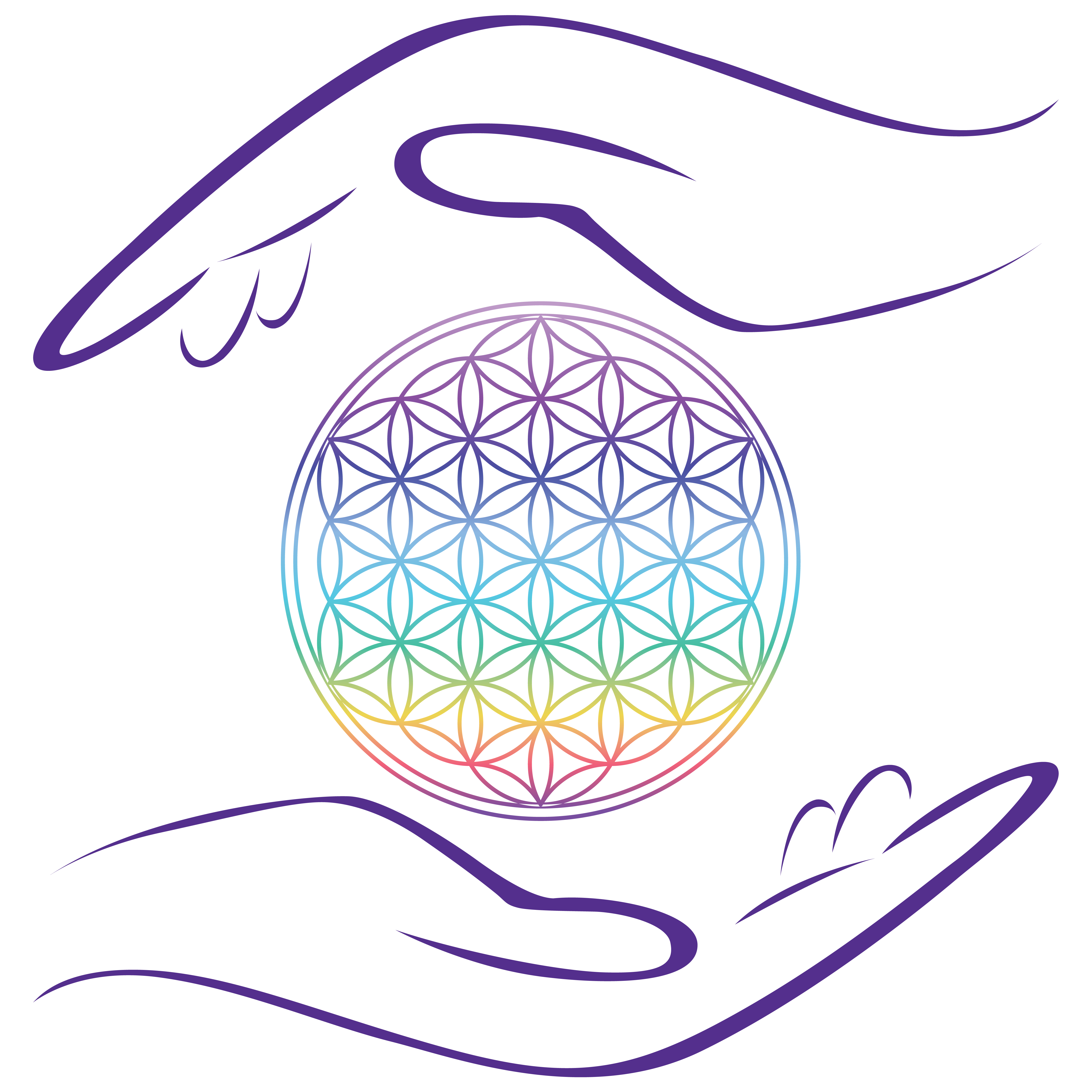 Logo magaly 2019