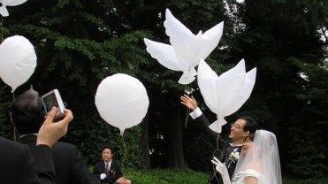 Bio white dove balloons3
