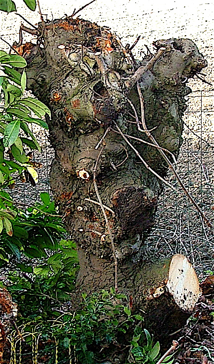 Dscf3161