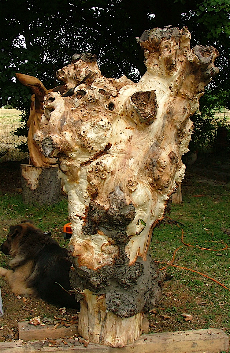 Dscf4045