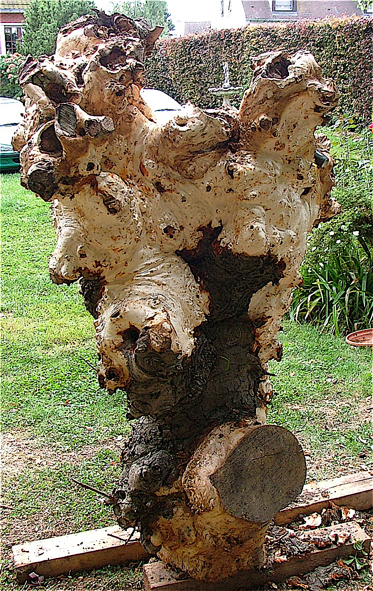 Dscf4051
