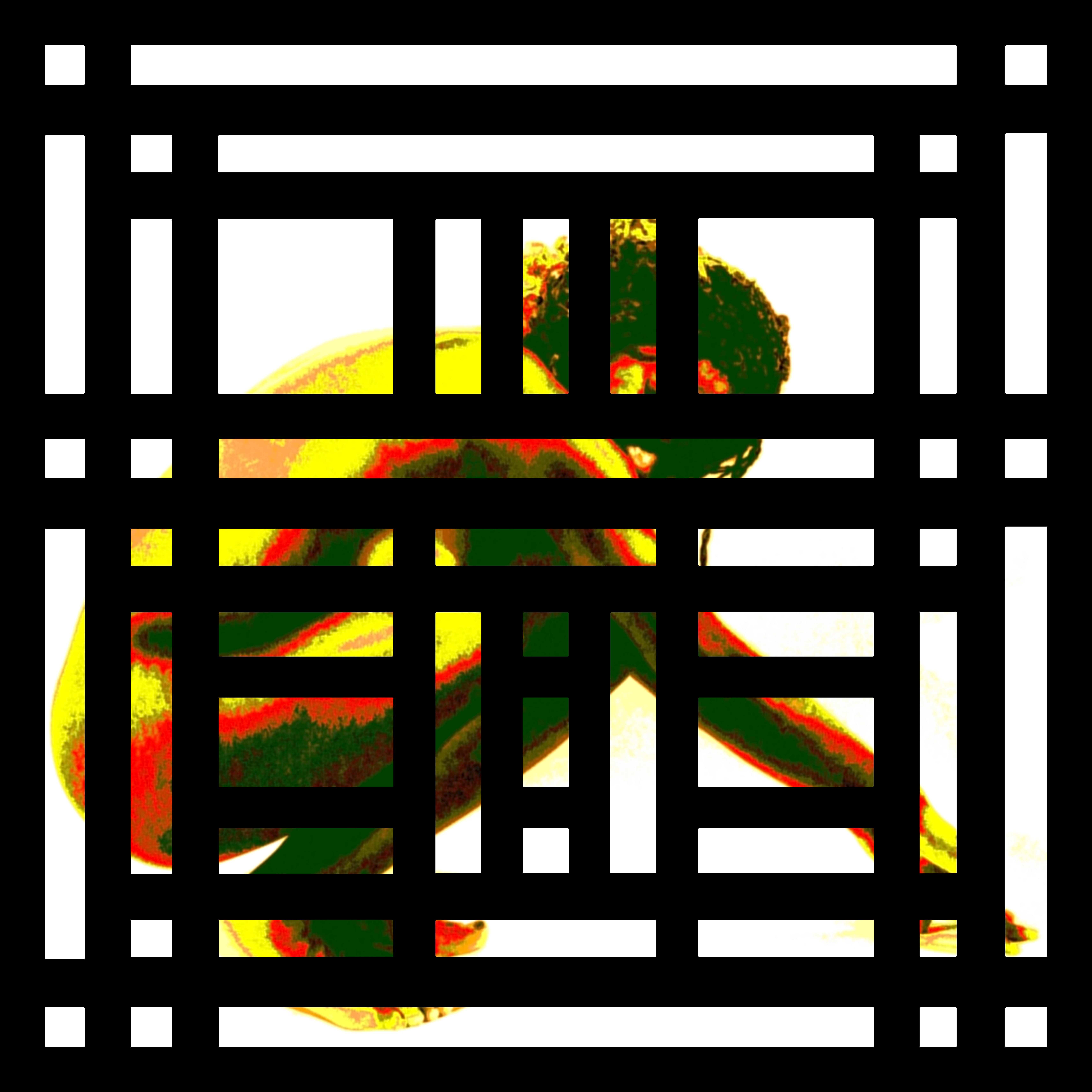 Barreaudage15