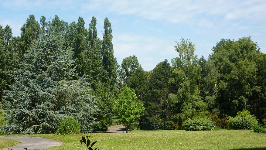 P1060243