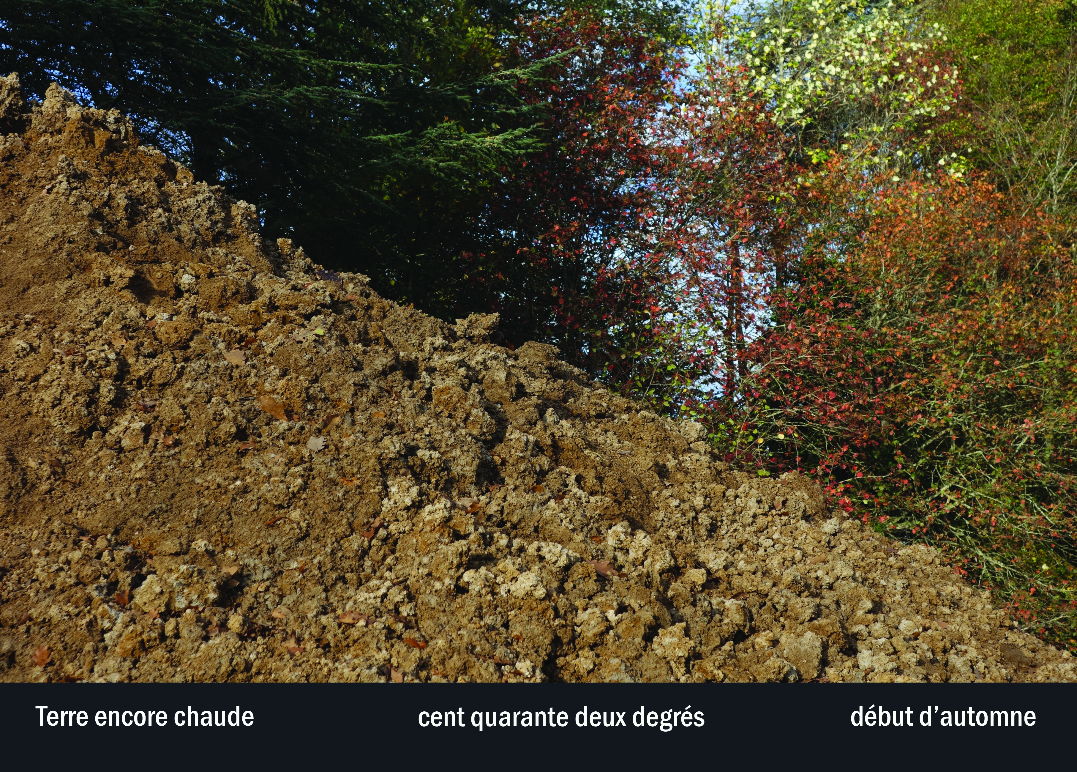 Imprimeur pour les 36 vues du mont hitachi2