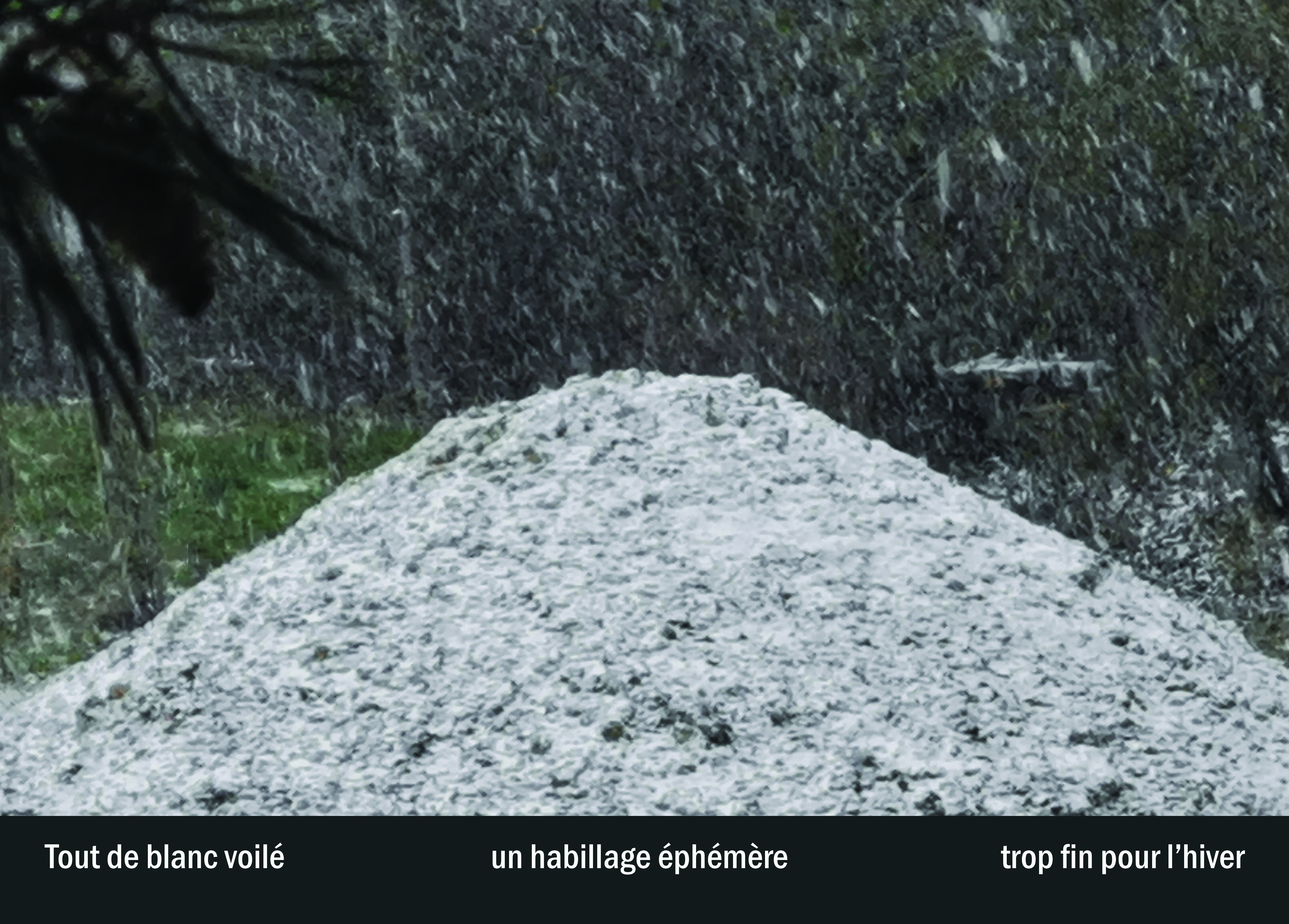 Imprimeur pour les 36 vues du mont hitachi18