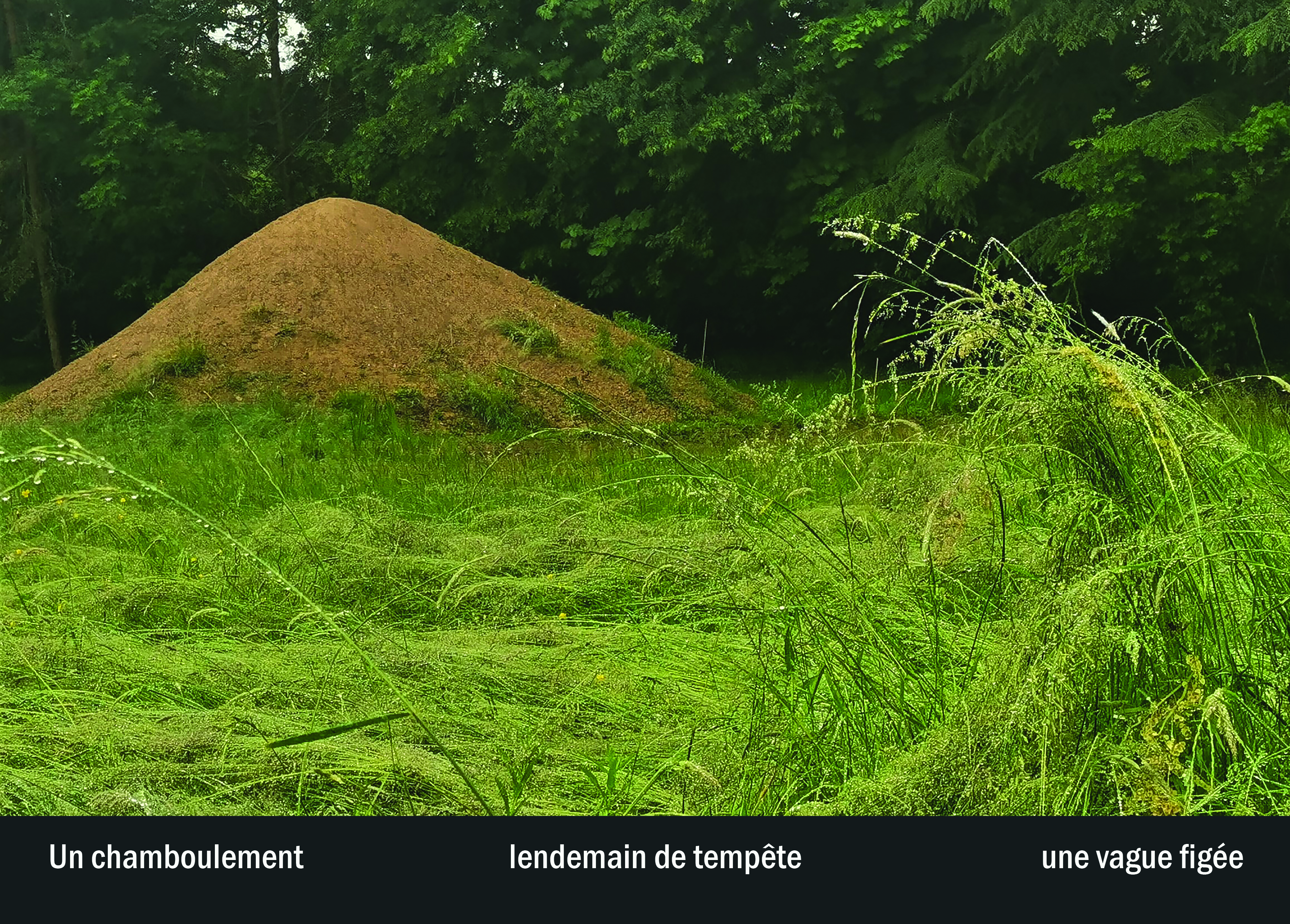 Imprimeur pour les 36 vues du mont hitachi33