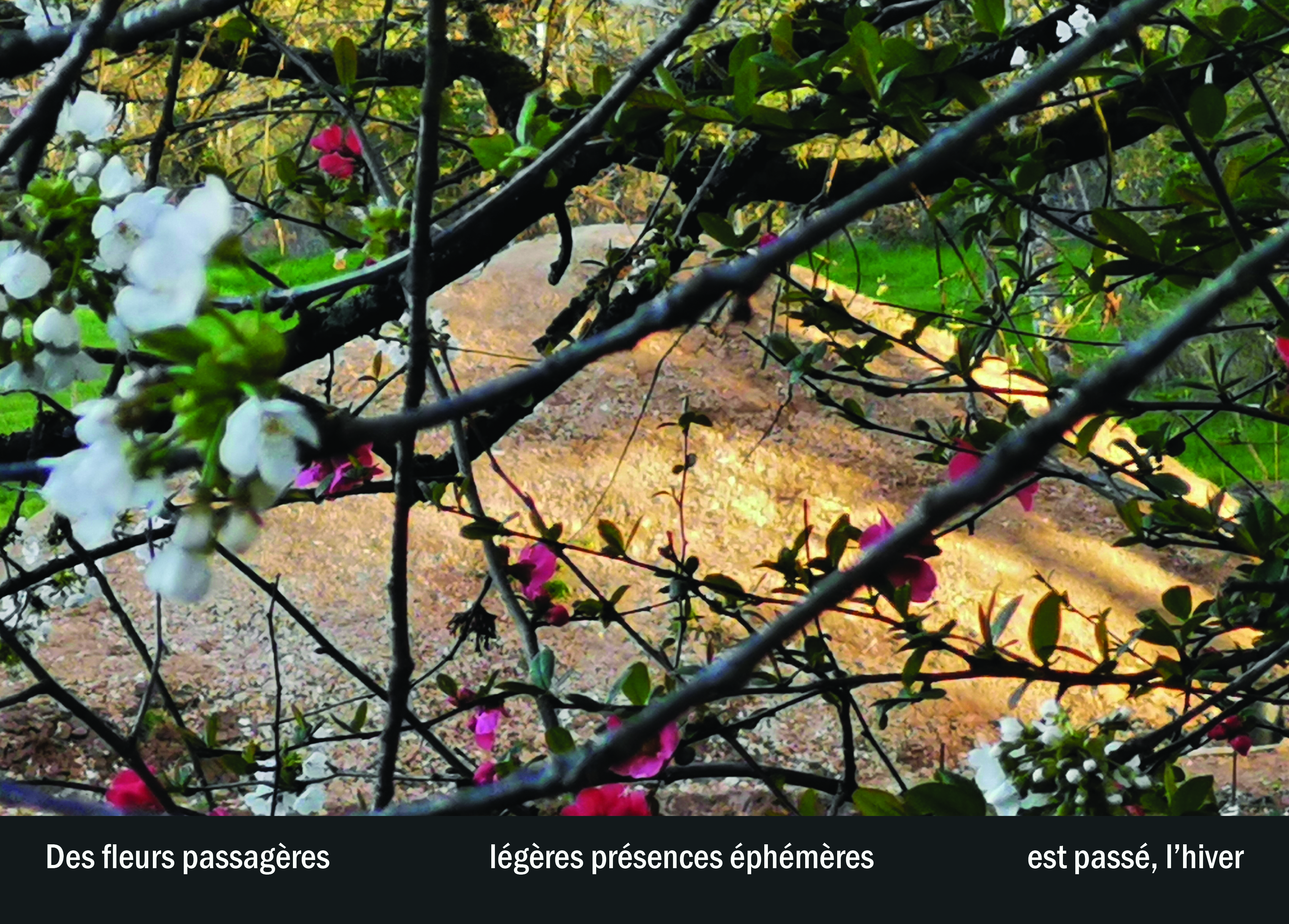 Imprimeur pour les 36 vues du mont hitachi28