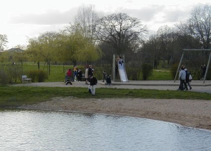 Bout de bois4