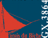 Asso biche