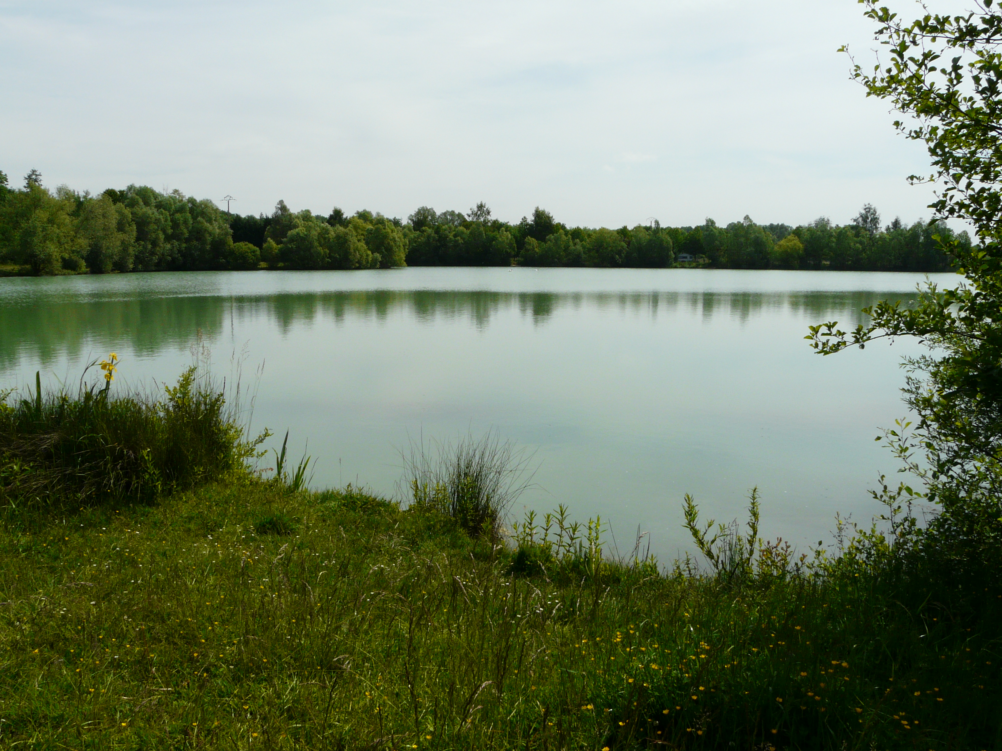 Etang 005