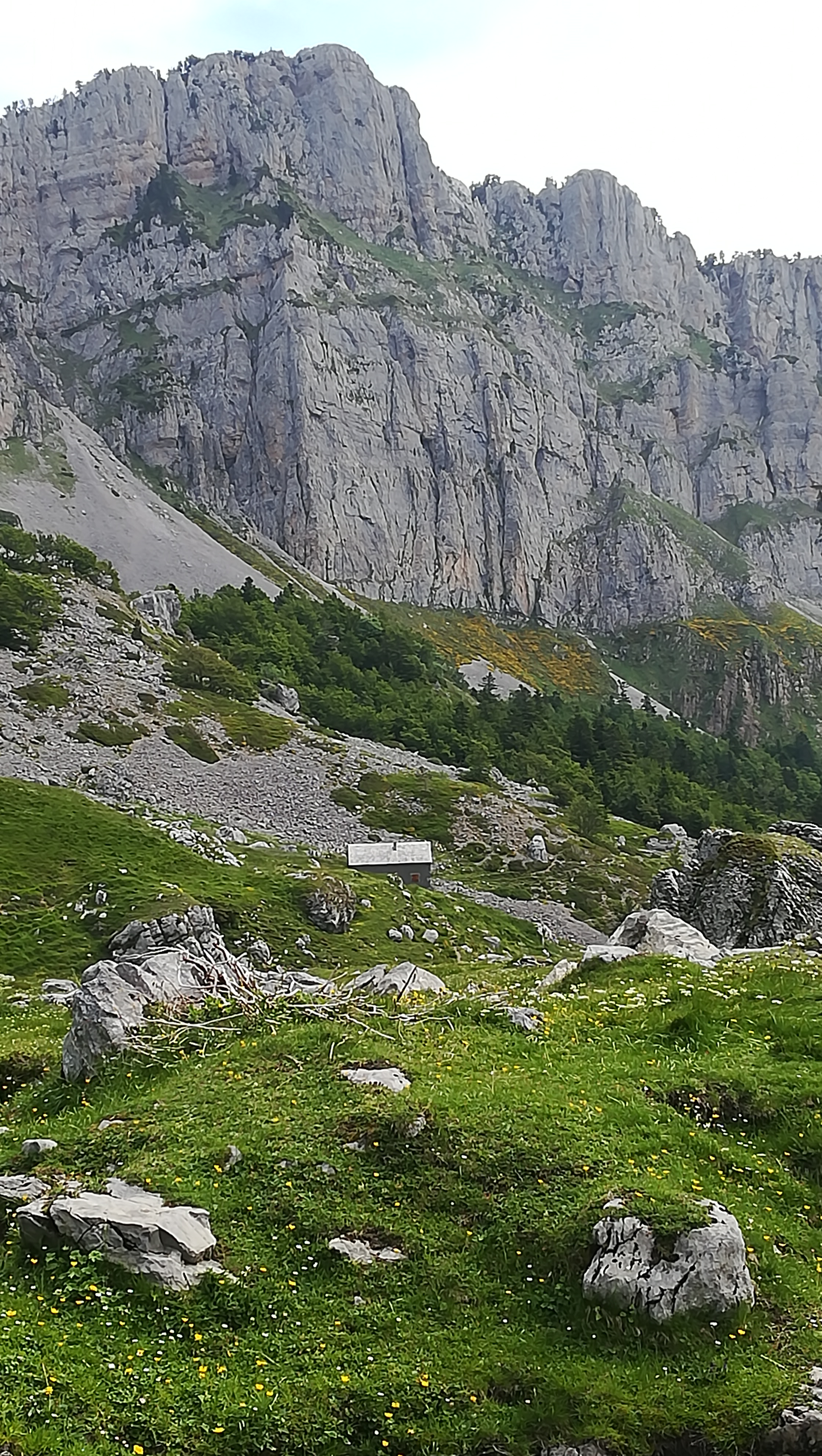 Img 20190623 113347