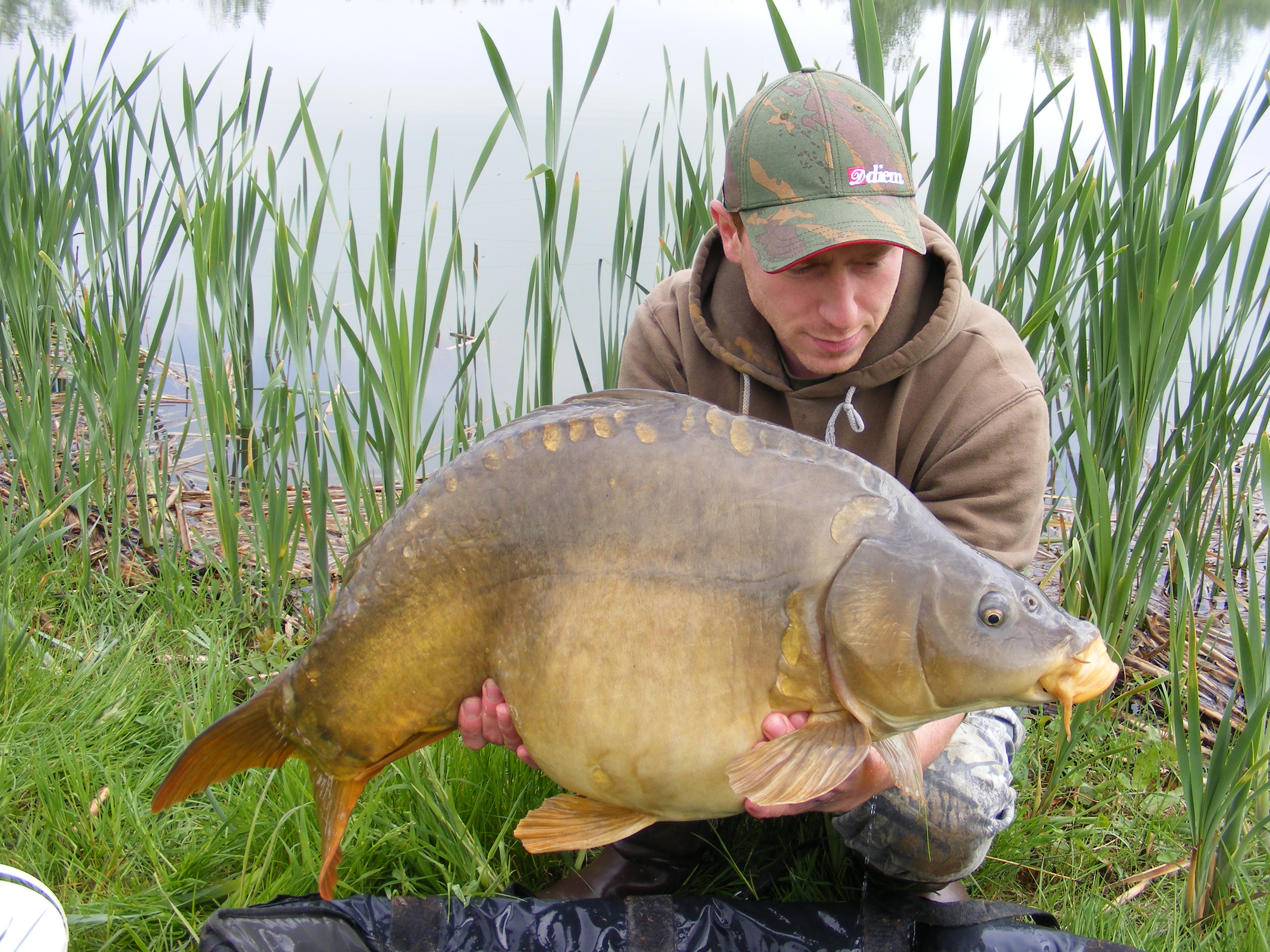 15 kg