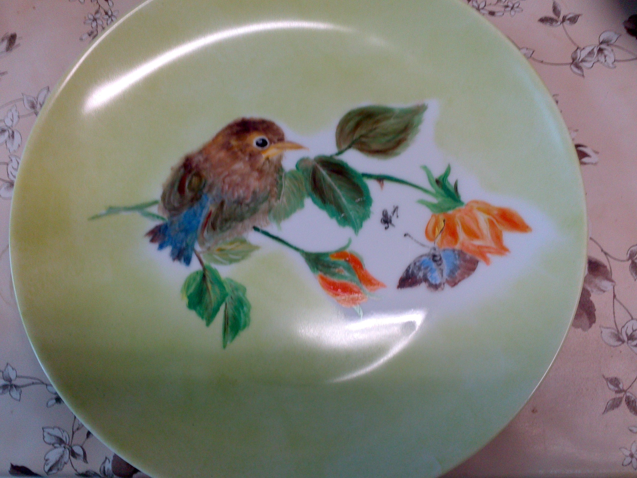 Mes oiseaux 002