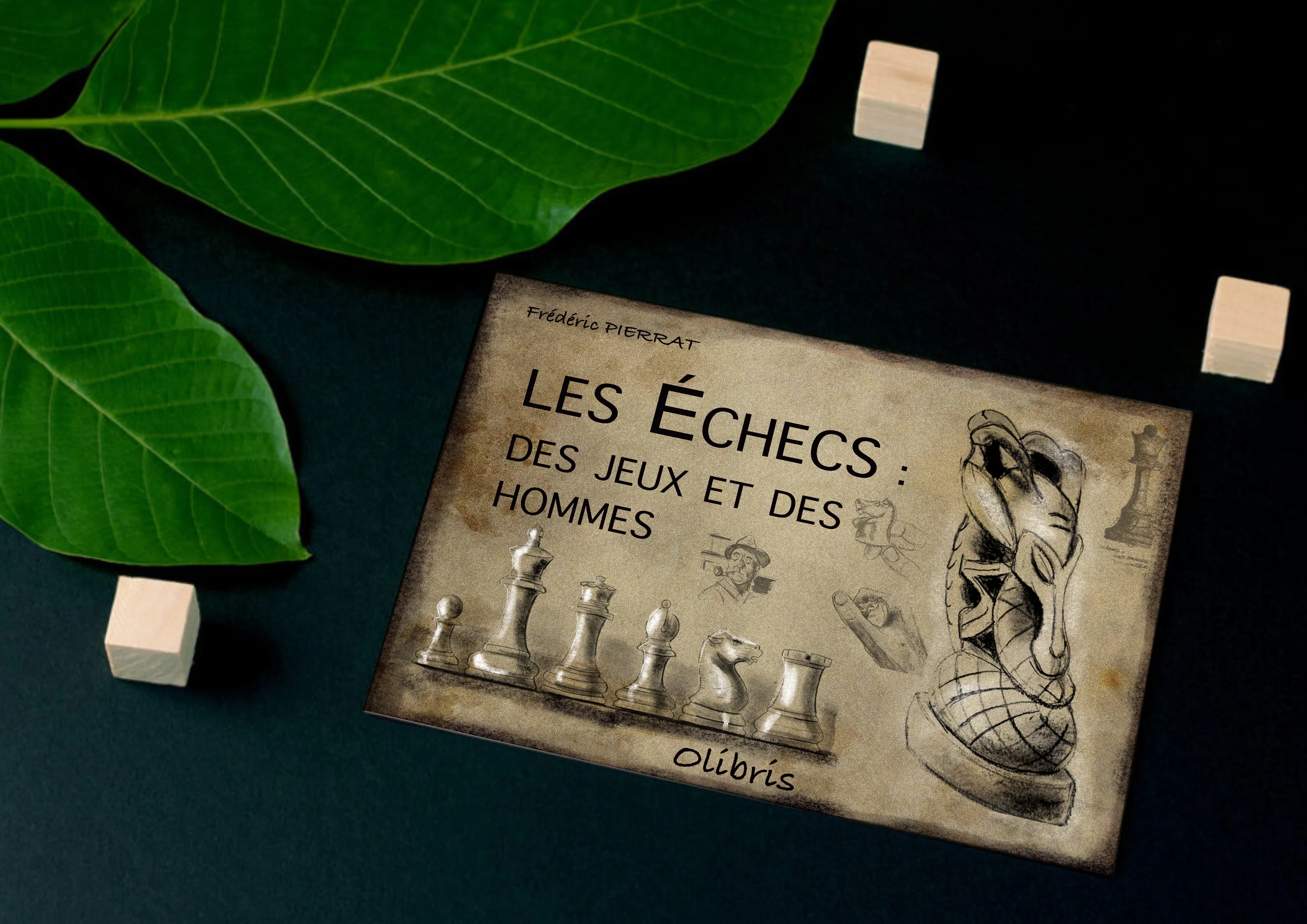 Les echecs des jeux et des hommes dessin frederic pierrat 11