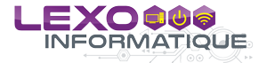 Lexoinformatique