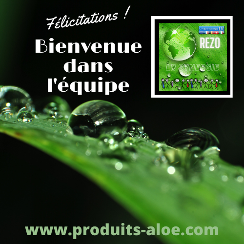 Bienvenue equipe REZO-LR-Synergie