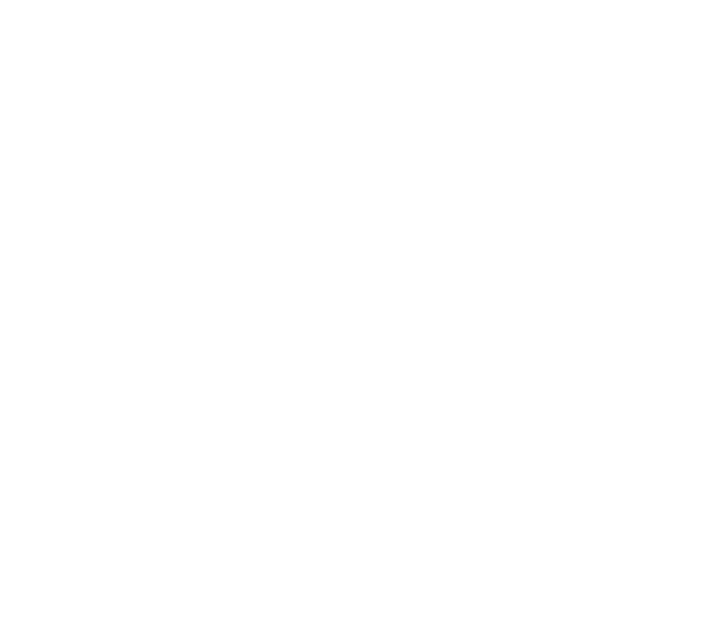 Excel-logo-blanc