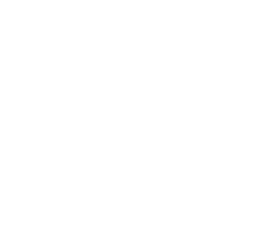 Power-point-blanc