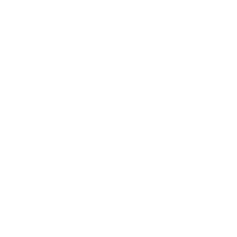 Facebook-blanc