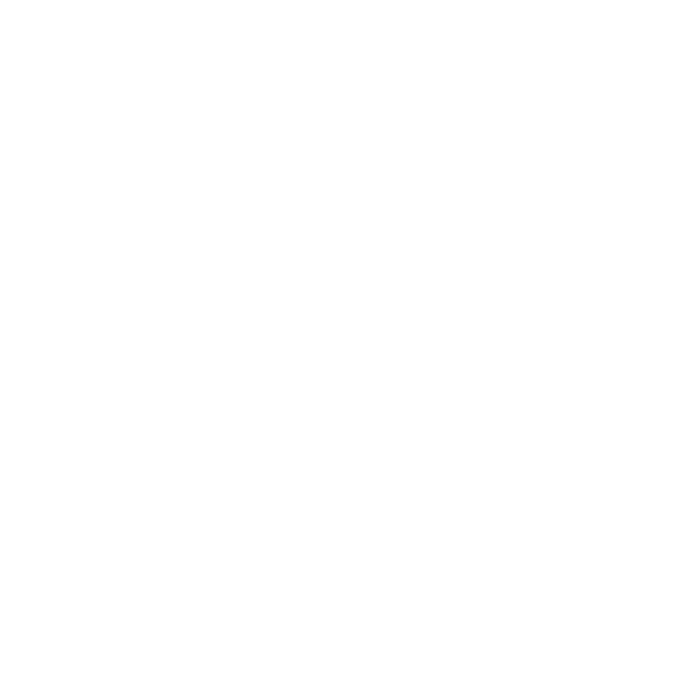Instagram-blanc