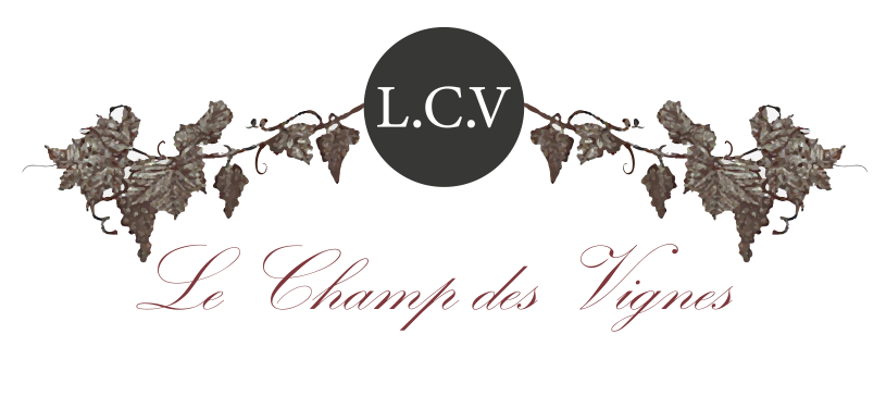 Logo2