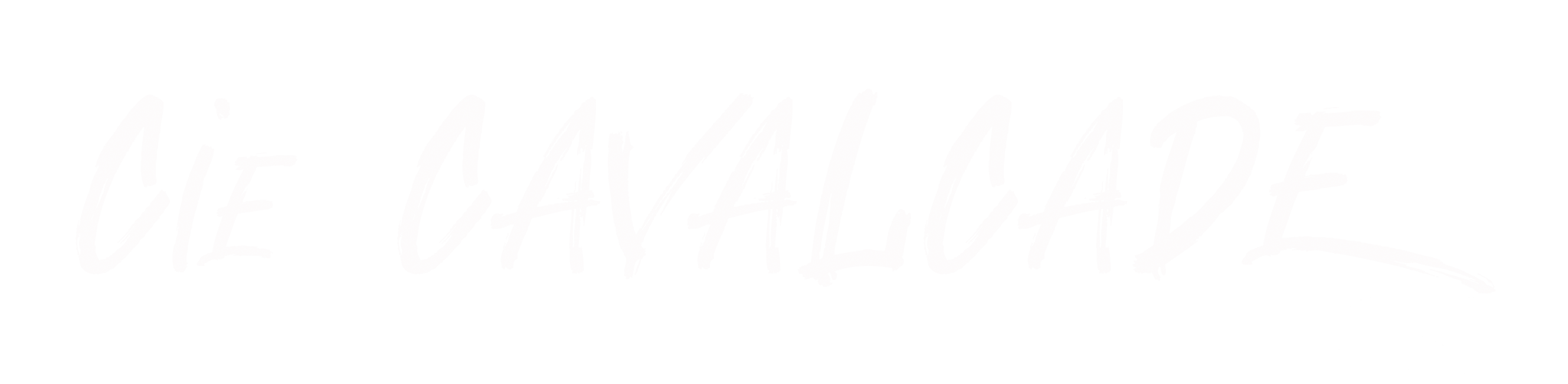Logo transparent