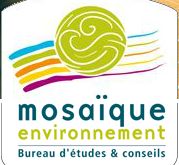 Mosaique