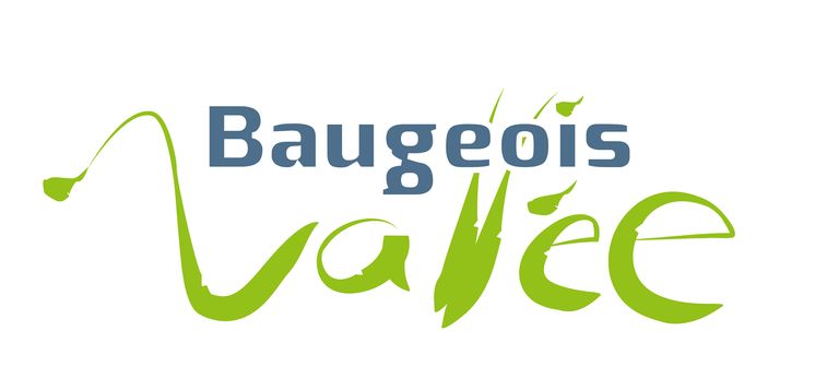Bv logo