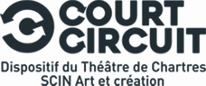 Court-circuit