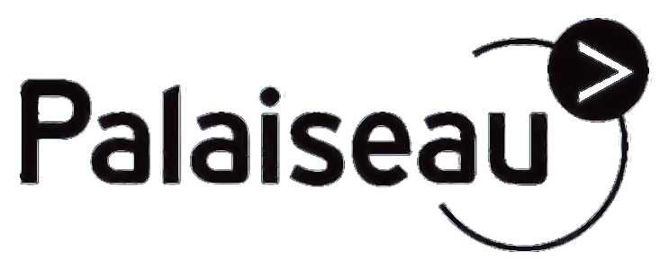 Logo-palaiseau-2