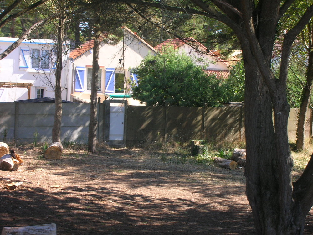 Vue de l arriere