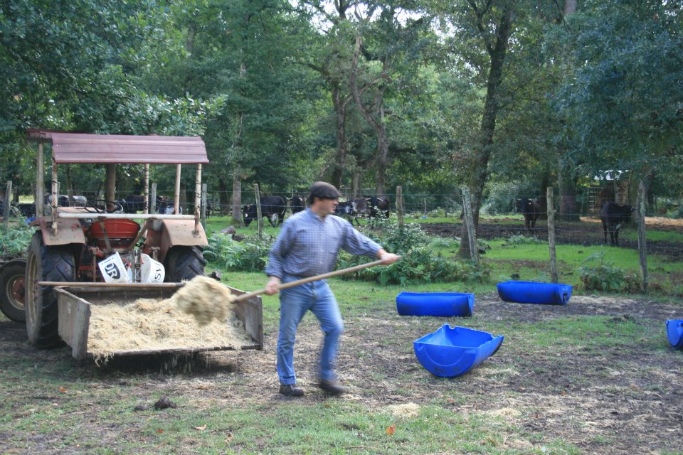 Photo malabat 2011 14 