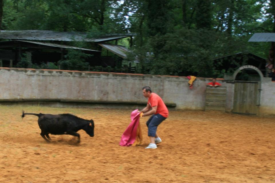 Photo malabat 2011 64 