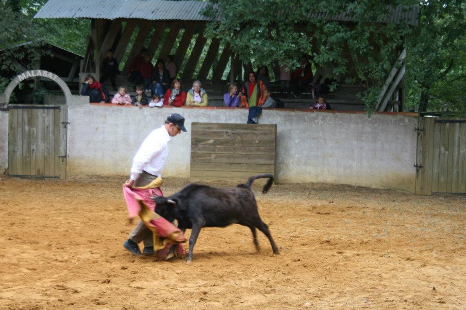 Photo malabat 2011 79 