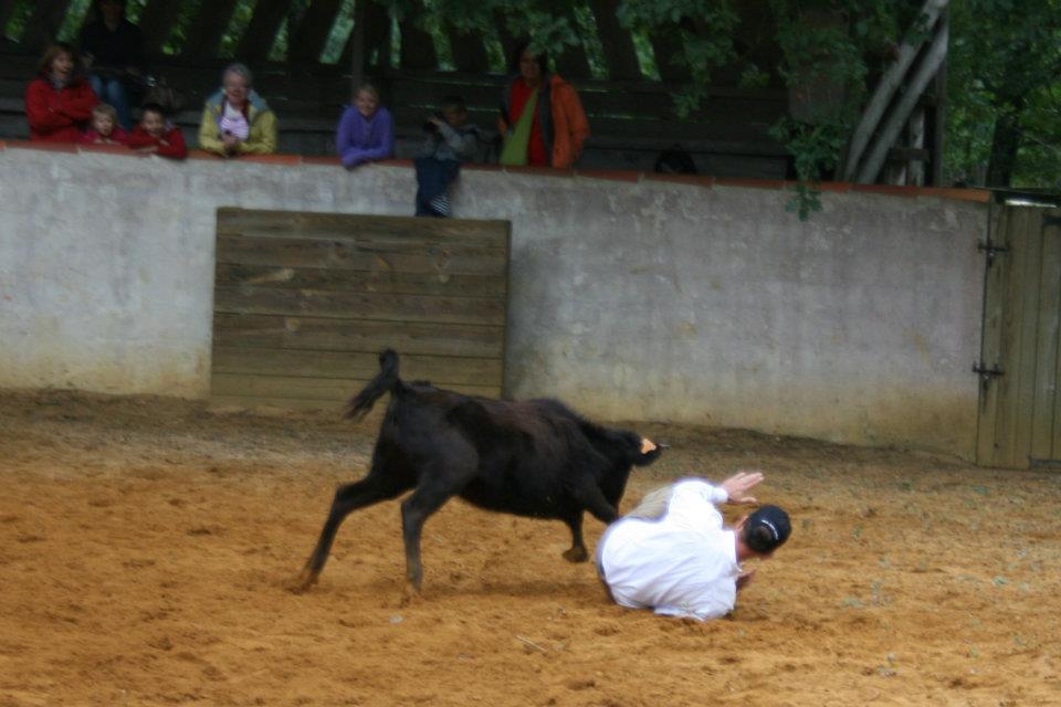 Photo malabat 2011 82 