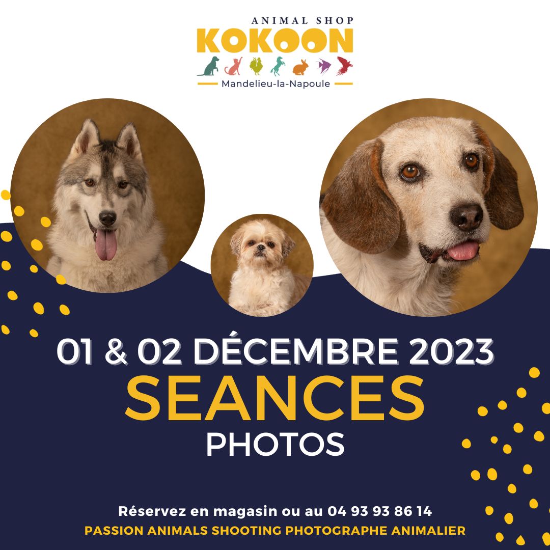 Mandelieu le 01 & 02/12
