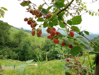 Image0000021