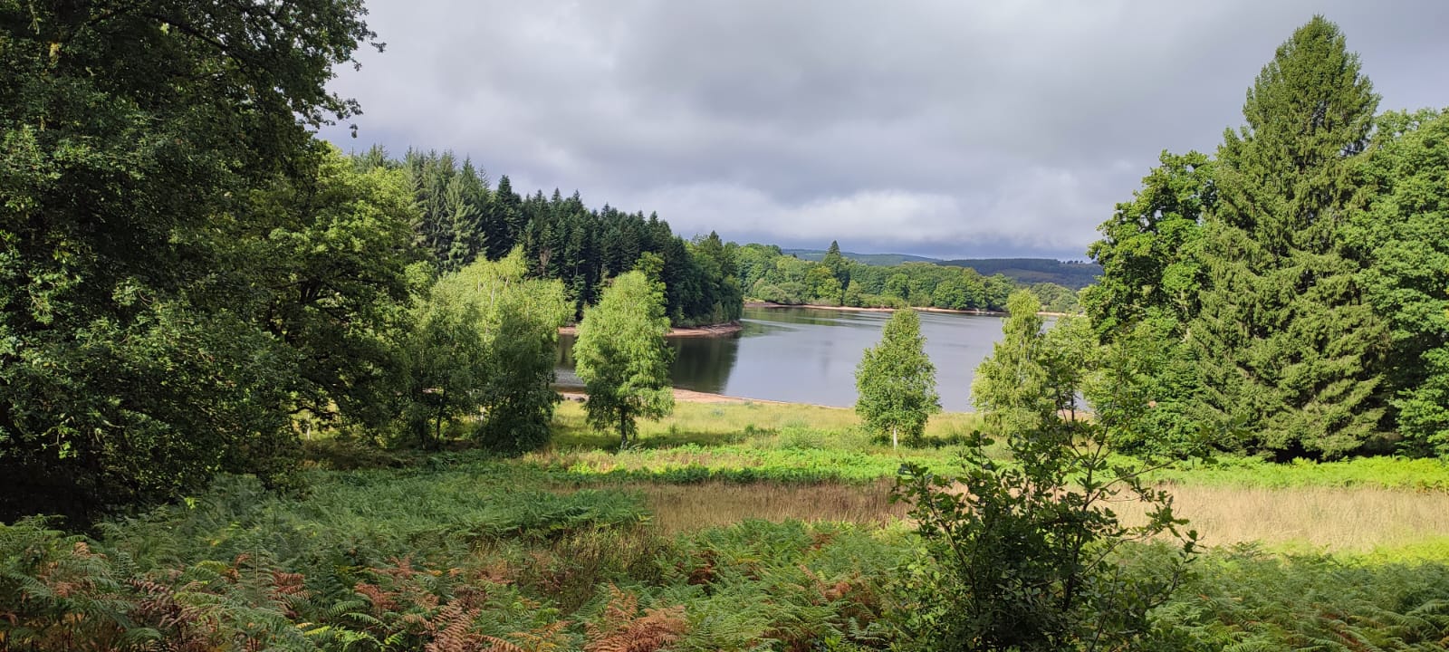 Img 20250908 wa0014